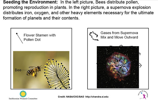 Seeding Environment