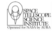 Space Telescope Institute